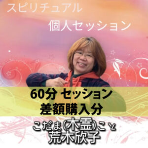 こだまセッション60分差額購入用
